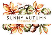 Sunny autumn. Chestnut set