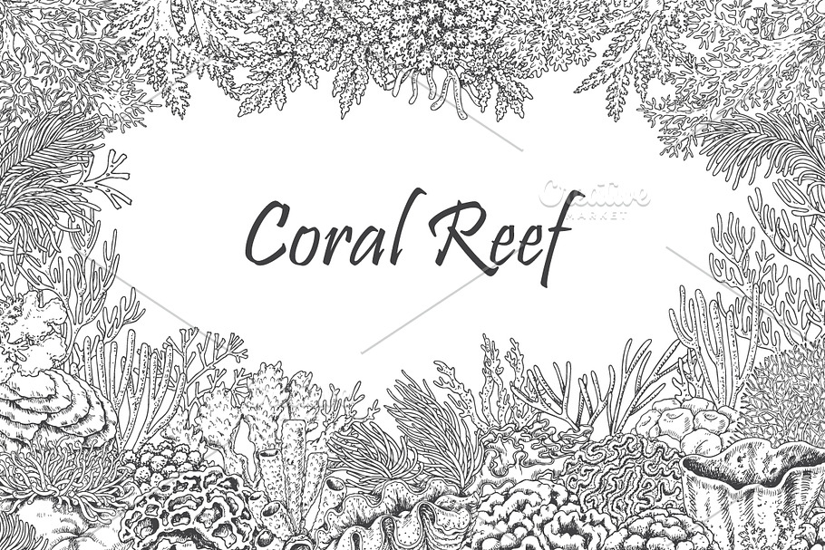 Coral Reef Monochrome in Illustrations - product preview 8
