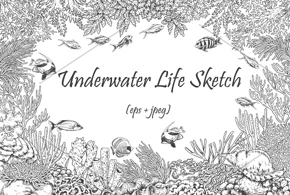 Coral Reef Monochrome in Illustrations - product preview 1