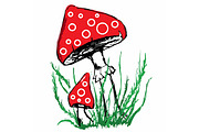 Mushroom amanita sketch vector