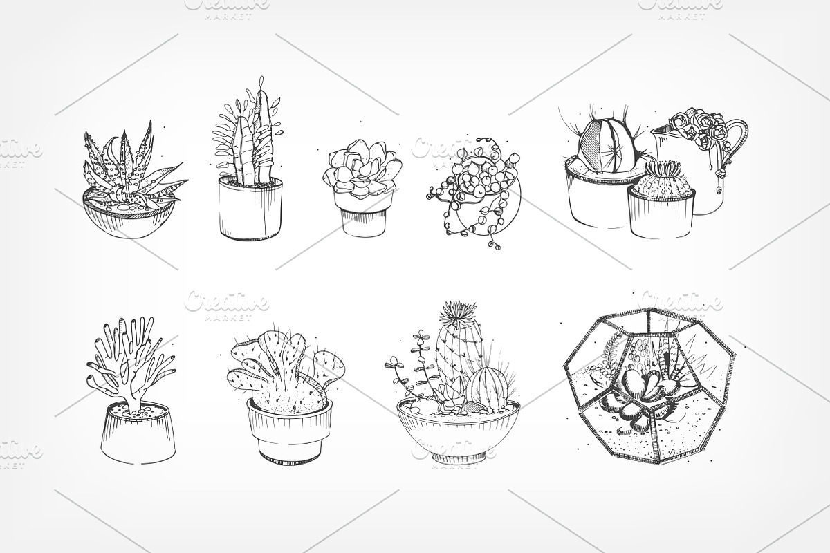 Cactuses and succulents composition in Illustrations - product preview 8
