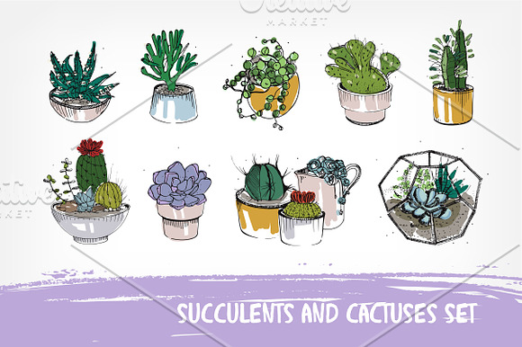 Cactuses and succulents composition in Illustrations - product preview 3