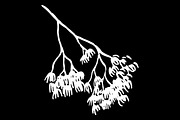 Branch silhouette sketch vector art