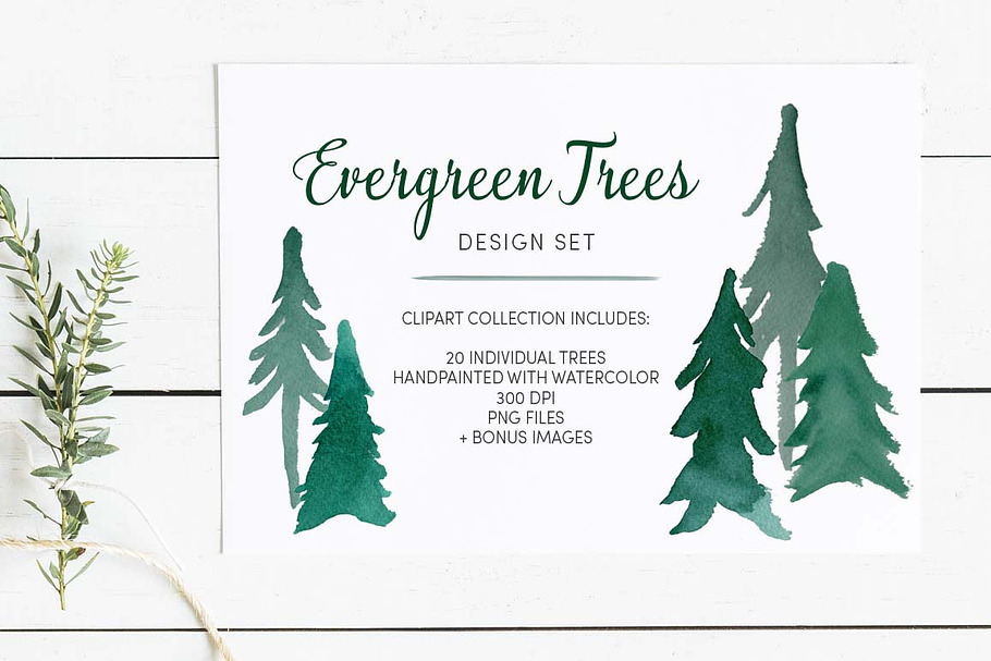Evergreen Trees Clip Art