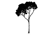 Tree silhouette vector line art