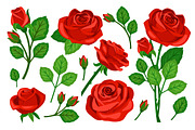 Red Rose Set