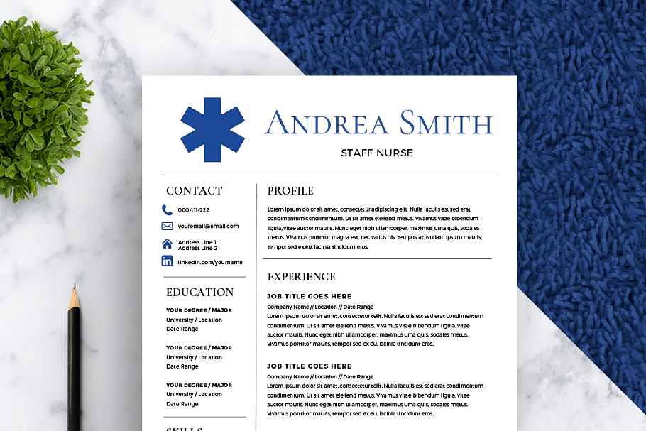 Nurse Resume Template *NEW* in Resume Templates - product preview 8