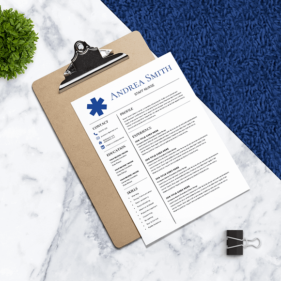 Nurse Resume Template *NEW* in Resume Templates - product preview 4
