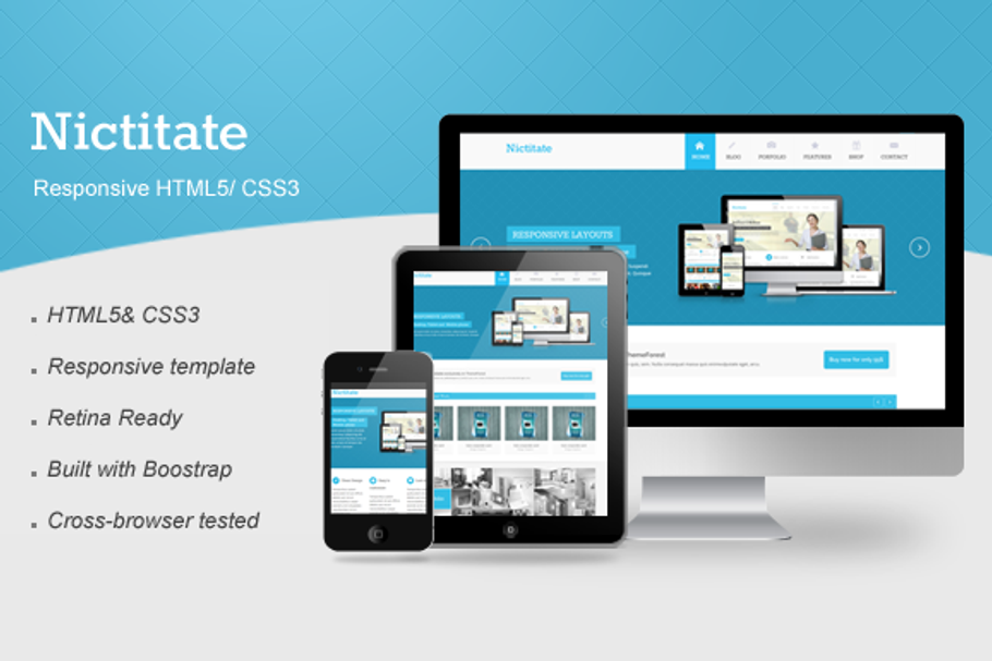 Nictitate – Responsive HTML5 in Website Templates - product preview 8