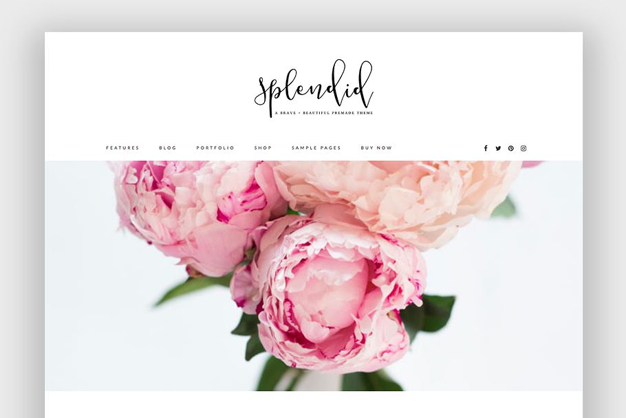 Splendid Wordpress Theme in WordPress Photography Themes - product preview 8