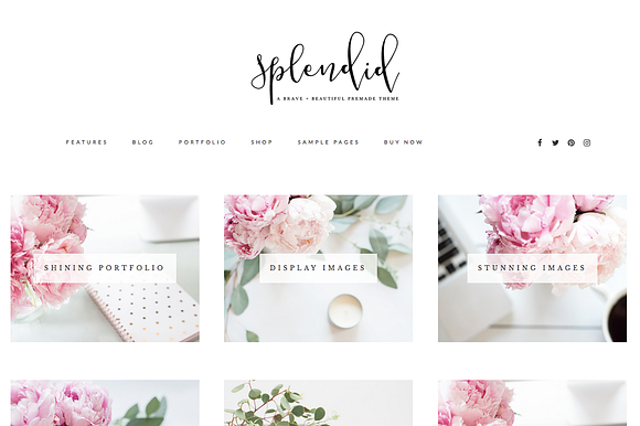 Splendid Wordpress Theme in WordPress Photography Themes - product preview 3