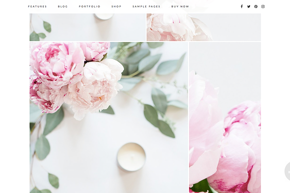 Splendid Wordpress Theme in WordPress Photography Themes - product preview 4
