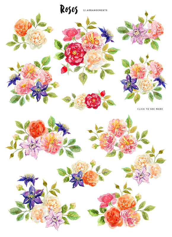 Roses. Watercolor collection in Illustrations - product preview 1