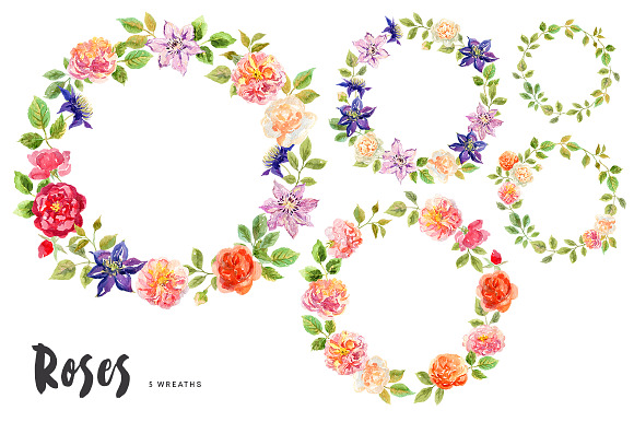 Roses. Watercolor collection in Illustrations - product preview 2