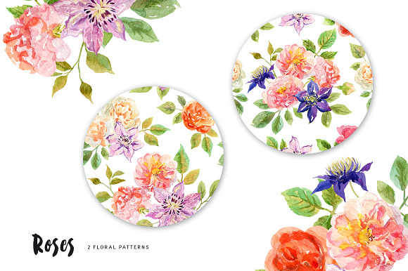 Roses. Watercolor collection in Illustrations - product preview 3