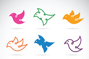 Vector group of bird design. icon