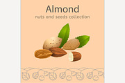 Almond Image