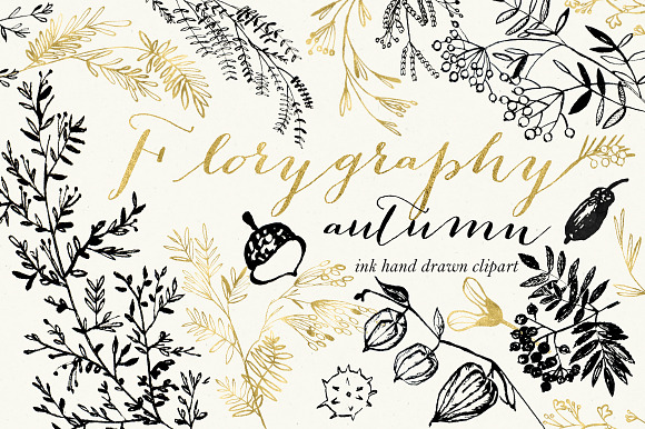 Florygraphy. Autumn. Ink clipart in Illustrations - product preview 1