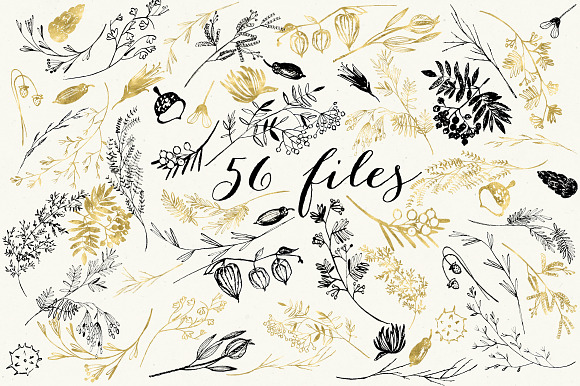 Florygraphy. Autumn. Ink clipart in Illustrations - product preview 2