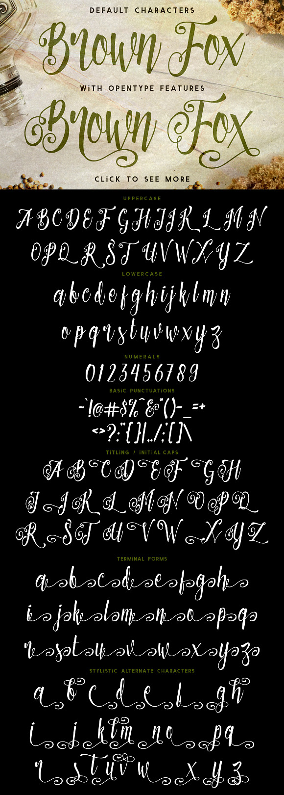 Patronia Script in Script Fonts - product preview 1
