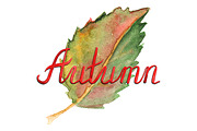 Autumn leaves month word lettering