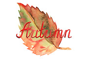 Autumn leaves month word lettering