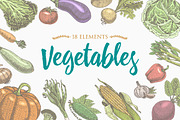 Fresh vegetables background with space for text, hand drawn or engraved, vintage, retro looking plants, vegetarian and healthy food