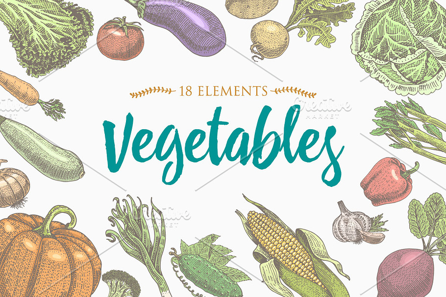 Fresh vegetables background with space for text, hand drawn or engraved, vintage, retro looking plants, vegetarian and healthy food in Textures - product preview 8