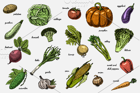 Fresh vegetables background with space for text, hand drawn or engraved, vintage, retro looking plants, vegetarian and healthy food in Textures - product preview 1