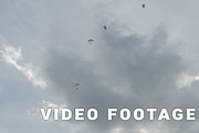 Parachutists fly in the sky