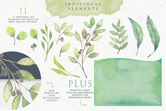 Thrive Leafy Watercolour Design Kit in Illustrations - product preview 4