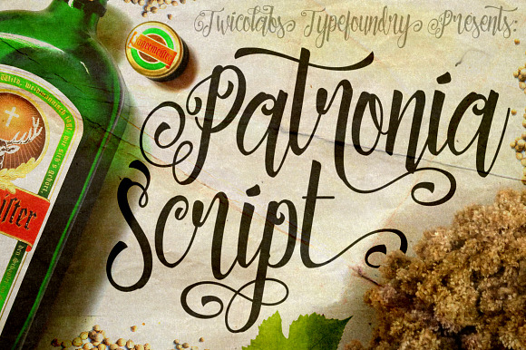 Patronia Script in Script Fonts - product preview 2