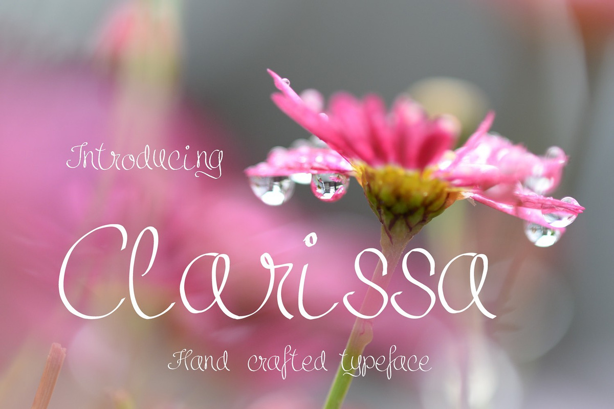 Clarissa Font in Script Fonts - product preview 8