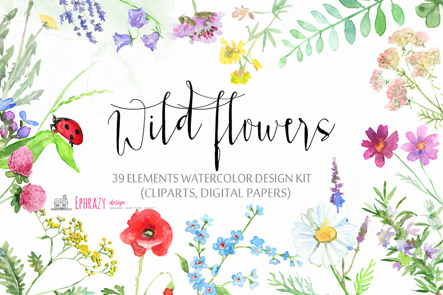Meadow flowers. Floral clipart paper in Illustrations - product preview 8