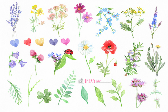 Meadow flowers. Floral clipart paper in Illustrations - product preview 1