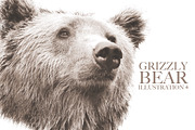 Grizzly Bear Illustration IV