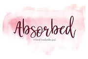 Absorbed | Script Font
