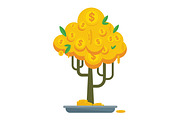 golden money tree bonsay