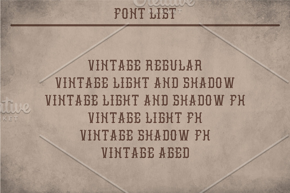 Vintage Classic Look Label Typeface in Display Fonts - product preview 5