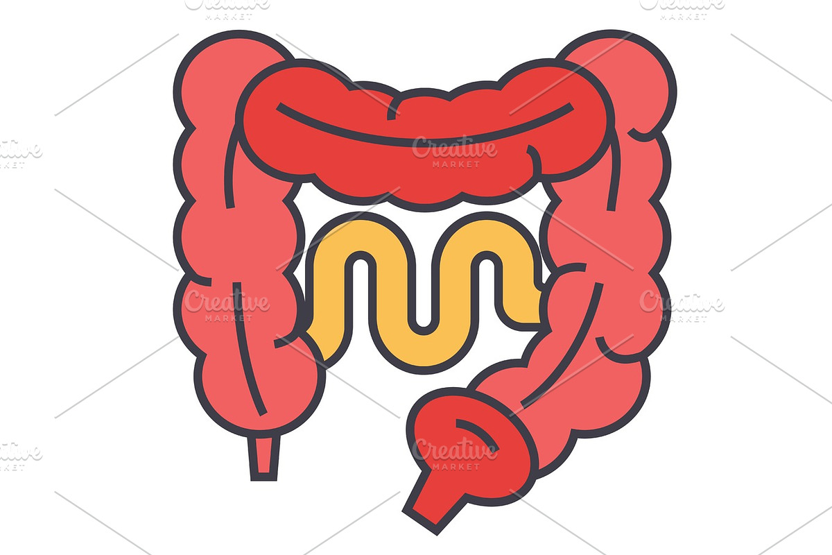 Intestines concept. Line vector icon. Editable stroke. Flat linear illustration isolated on white background in Illustrations - product preview 8