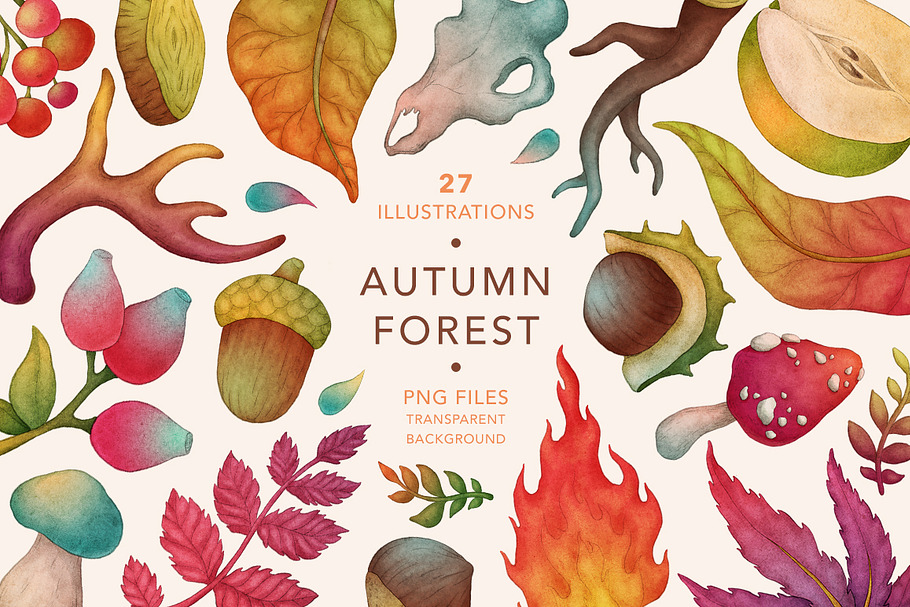 Autumn Forest, Fall Collection in Illustrations - product preview 8