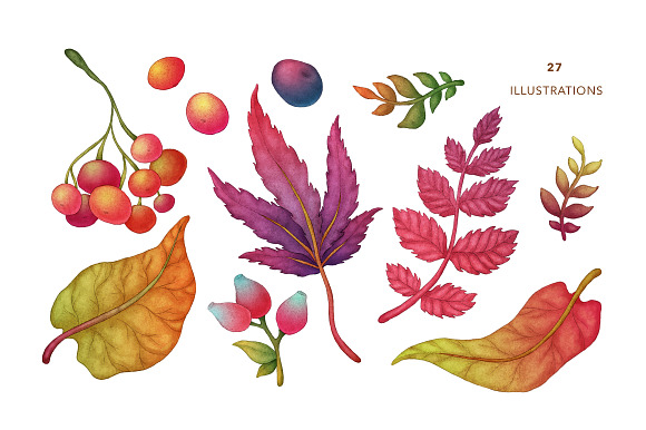 Autumn Forest, Fall Collection in Illustrations - product preview 1