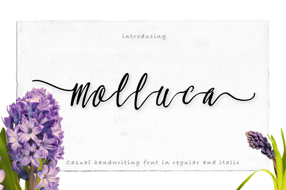Molluca in Script Fonts - product preview 8