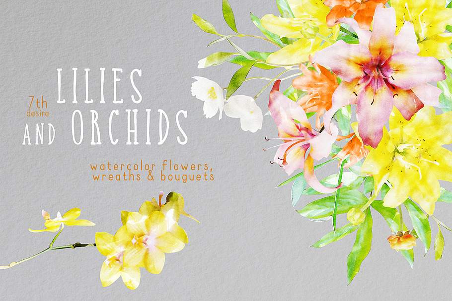 Watercolor Lilies & Orchids