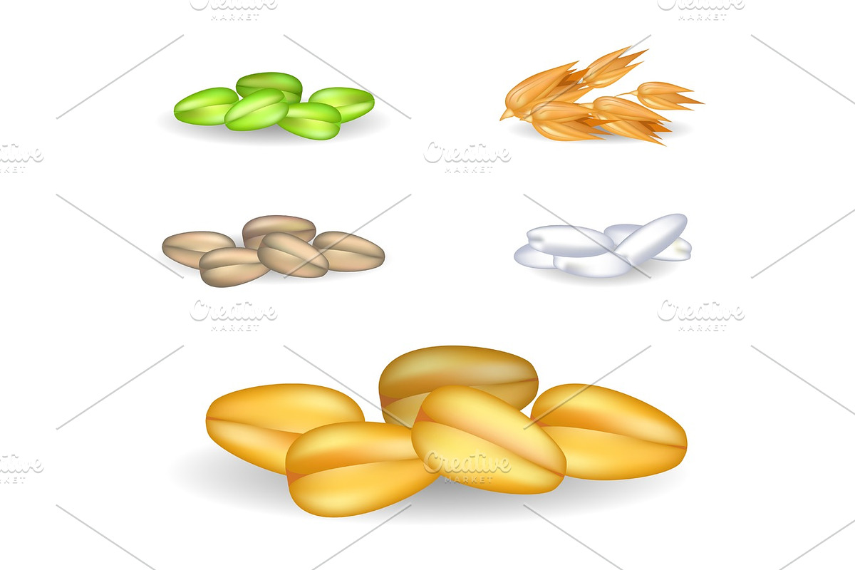 Wheat Grain Pile with Small Heaps on Background in Illustrations - product preview 8