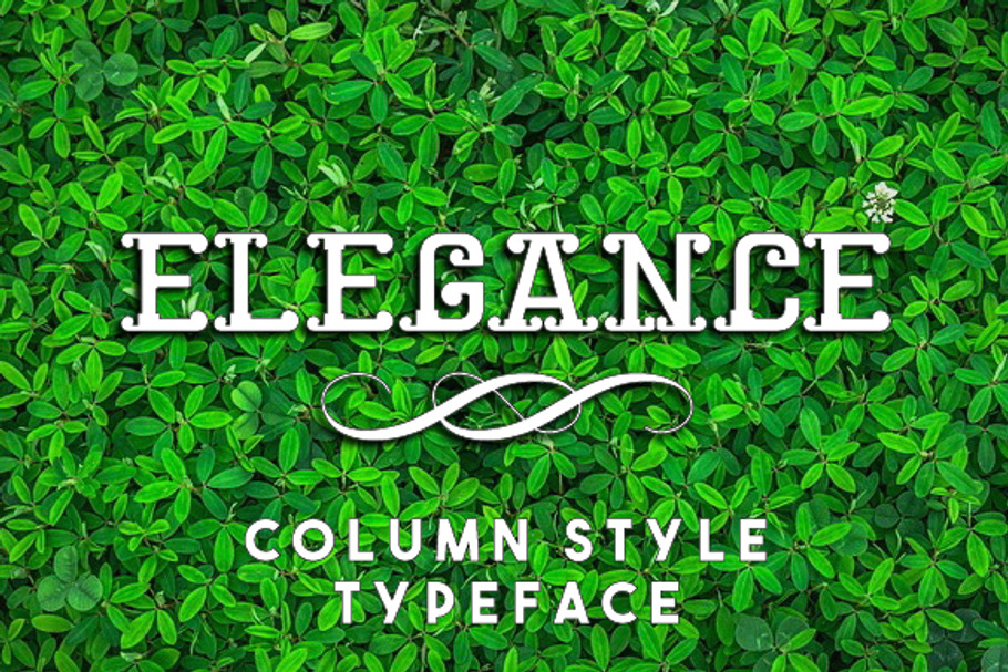 Elegance Font in Display Fonts - product preview 8