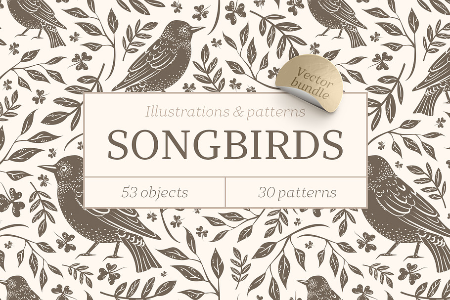 Songbirds graphic collection in Illustrations - product preview 8