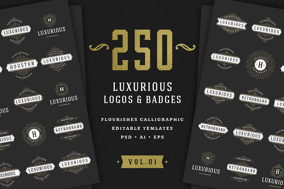 250 ornaments logos & monograms in Logo Templates - product preview 8