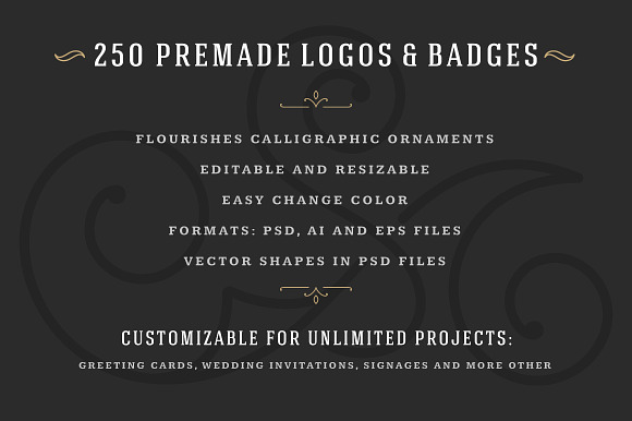 250 ornaments logos & monograms in Logo Templates - product preview 2