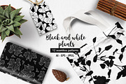 Black and white plants patterns